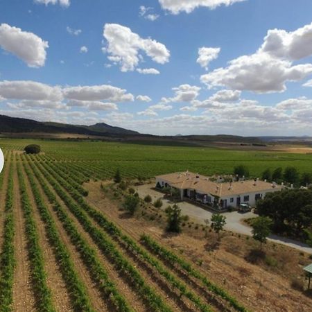 Finca El Romeral Alpera Bagian luar foto