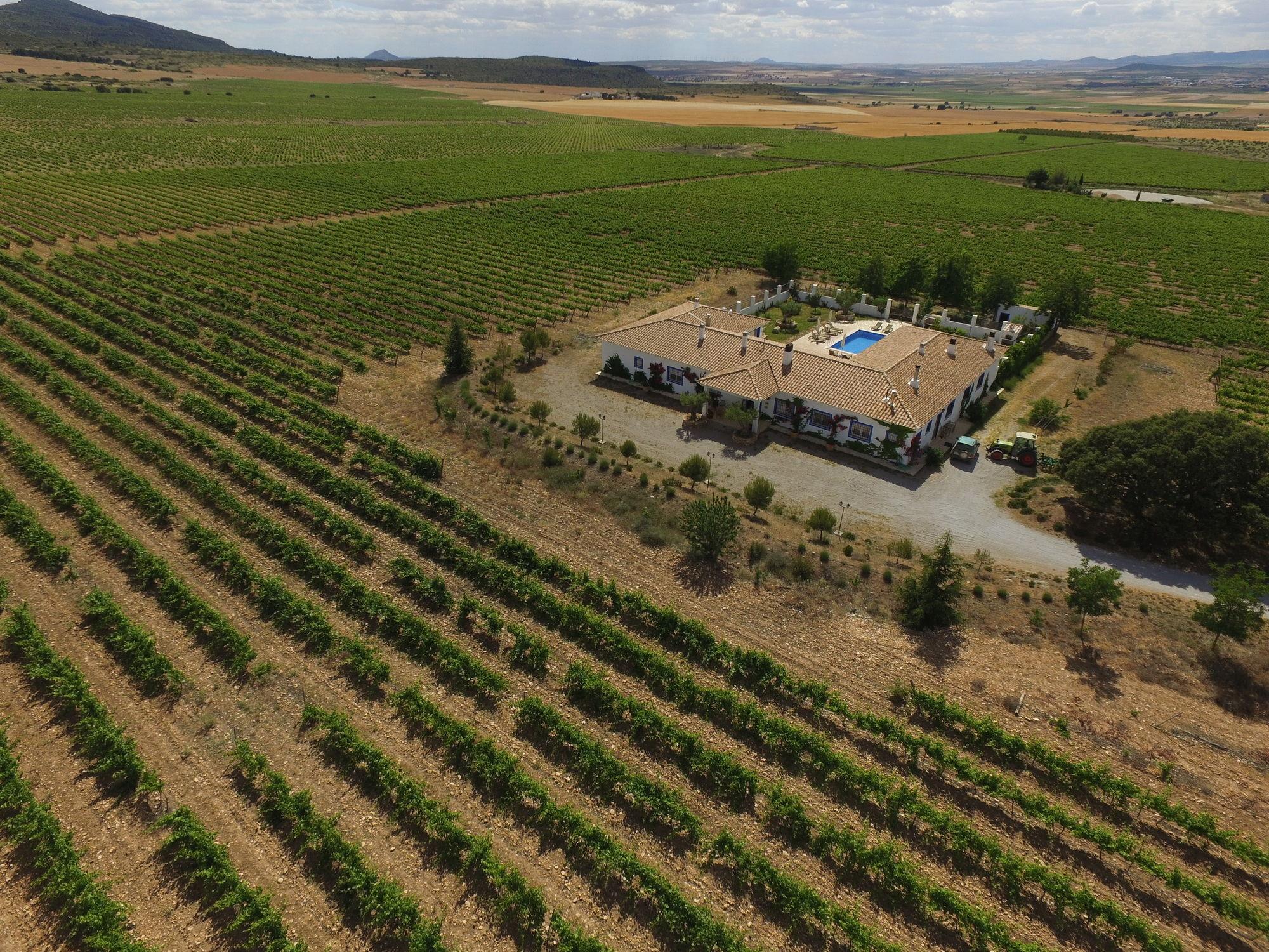 Finca El Romeral Alpera Bagian luar foto