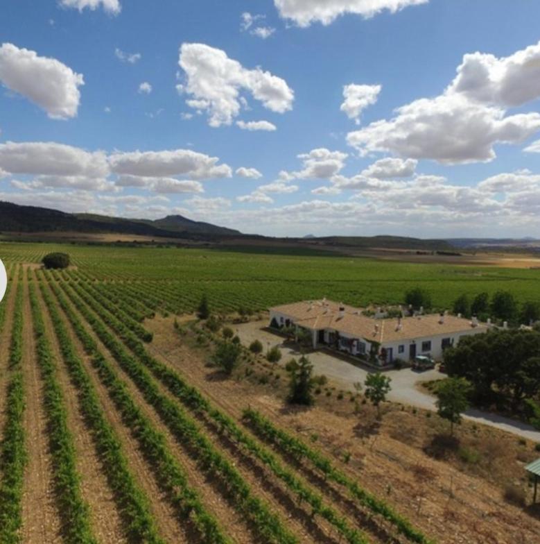 Finca El Romeral Alpera Bagian luar foto