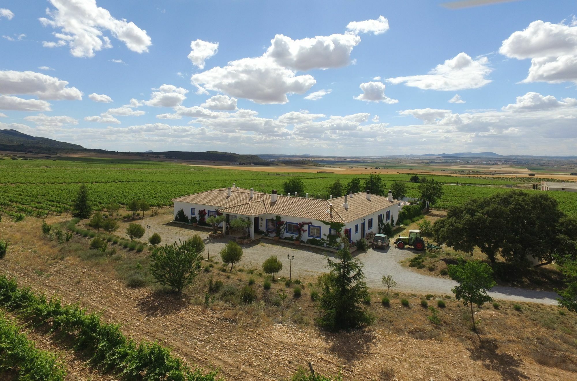 Finca El Romeral Alpera Bagian luar foto